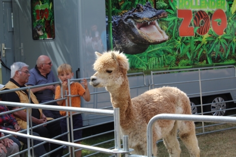 Zoo