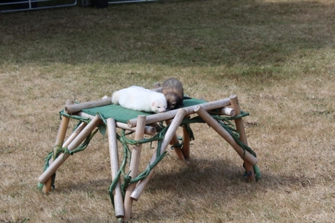 Zoo